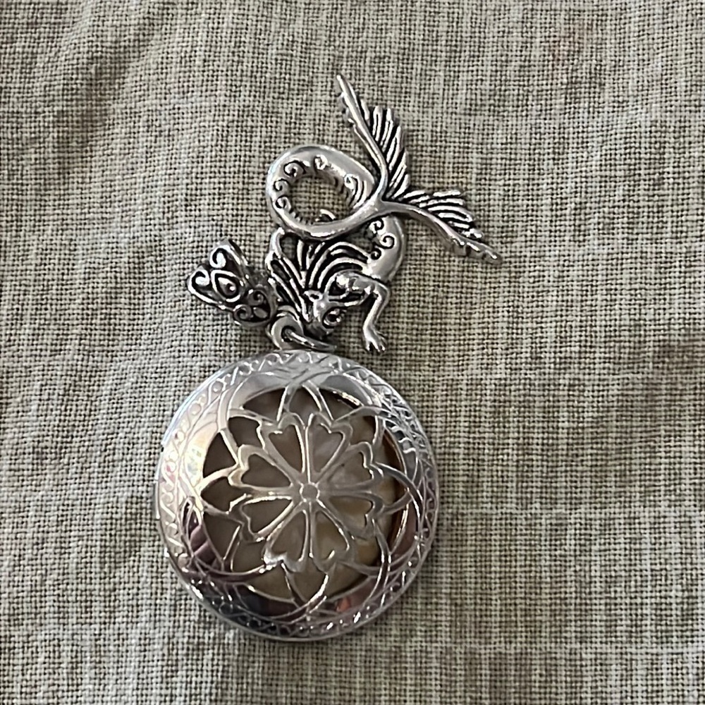 Essential Oil Diffuser Necklace locket